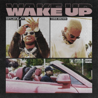 Skylar Blatt, Chris Brown - Wake Up
