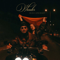AYLIVA & Apache 207 - Wunder