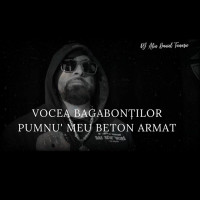 Luxus, Vocea Bagabontilor - PUMNU' MEU BETON ARMAT