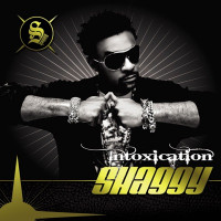 Shaggy - Body a Shake