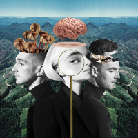 Clean Bandit, Sean Paul , Anne-Marie - Rockabye