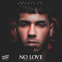 Anuel AA - No Love