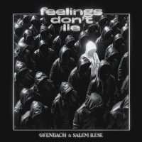 Ofenbach & salem ilese - feelings don't lie