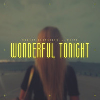 Robert Georgescu & White - Wonderful Tonight