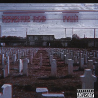 Revenue Rob - Pain