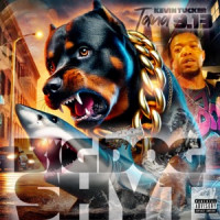 Tana9.13 - Big Dog Shyt (Radio Edit)