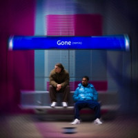 Siggy & D1ns - Gone (Remix)
