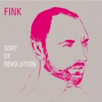 Fink - Walkin' In the Sun