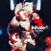 Inhaler - A Question Of You
