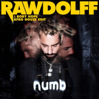 Rawdolff & Rory Hope - Numb (Edit)