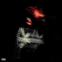Rob49 - WTHELLY