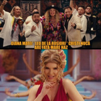 Diana Matei, Leo de la Rosiori & Cristi Nuca - Are fata mare haz