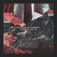 Victor Lundberg, Andy Delos Santos - Wish I Could