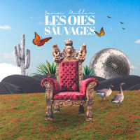Yann Muller - Les Oies Sauvages