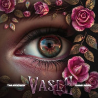 Talk Down, sami beigi - Vasleh