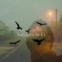 Rahul Kumar Gupta - Saiyaara lo-Fi