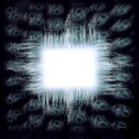 TOOL - Stinkfist