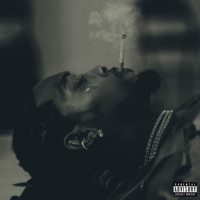 Offset & Gunna - Different Species