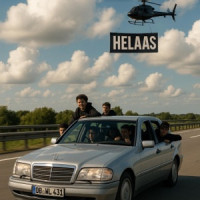 vlinderscrime - helaas