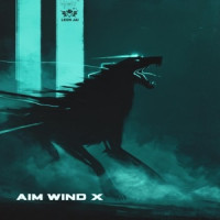 AIM WIND X, AIM WIND & LEON JAI - Run