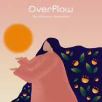The Wildcardz & dazeychain - Overflow