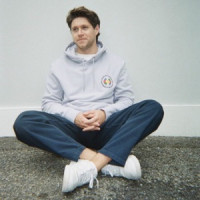 Niall Horan - Put A Little Love On Me