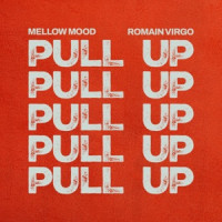 Mellow Mood & Romain Virgo - Pull Up