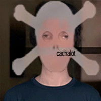 ONDA ANDAR - cachalot