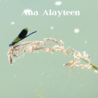 Halal Harmony, Abo Ali - Anjooma Layat