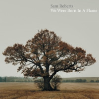 Sam Roberts - Brother Down