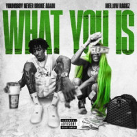 YoungBoy Never Broke Again & Mellow Rackz - What You Is