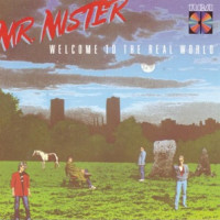 Mr. Mister - Broken Wings