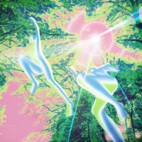 Lacuna - Summer Cosmos