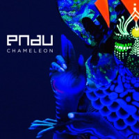 PNAU - Chameleon