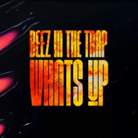 MERCENARIO - Beez In The Trap Whats Up